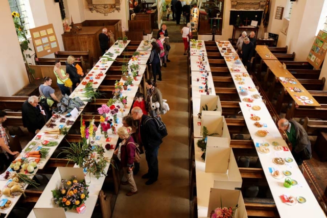 Produce Show at the Tardebigge Fair and Show 2016